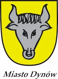 dynow-logo